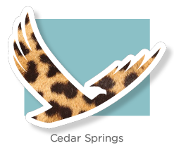 Cedar Springs