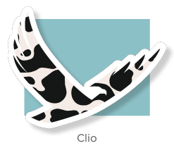 Clio-1