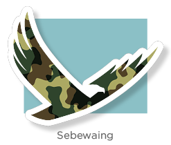 Sebewaing