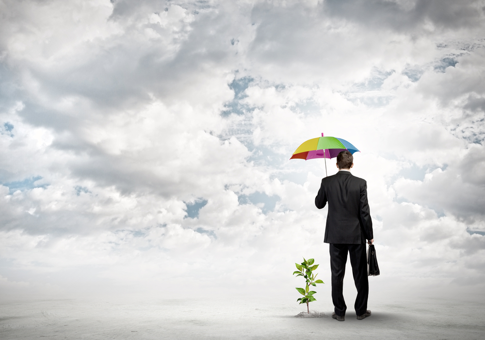 Rear view of businessman protecting little sprout with umbrella