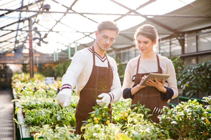 Serious male and female gardeners in brown aprons discussing plants and flowers and using tablet in orangery