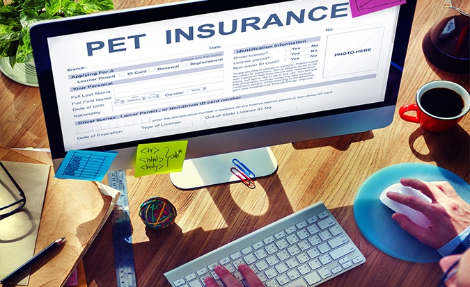 Blog - Pet Insurance